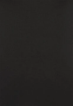 Anna Field 2 PACK - Langarmshirt - Black/mottled Grey -Pier One Store 0dc508e6fbe54431b34a612a85aedc7a