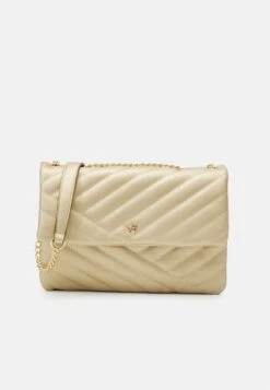 Anna Field Umhängetasche - Gold-coloured -Pier One Store 9dbdf14293bf4f5c87b7ec47f4268ac9 1